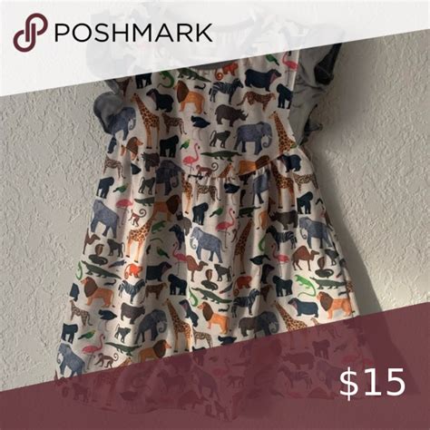 zoo clothing dresses.